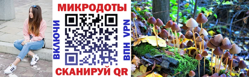 Галлюциногенные грибы ЛСД  как найти закладки  Верхний Тагил 